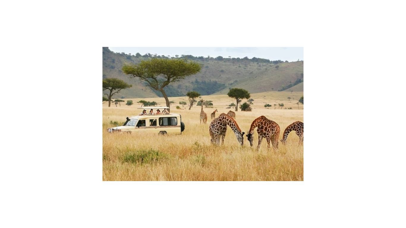 Africa Safari Adventure: Witness Majestic Wildlife Up Close