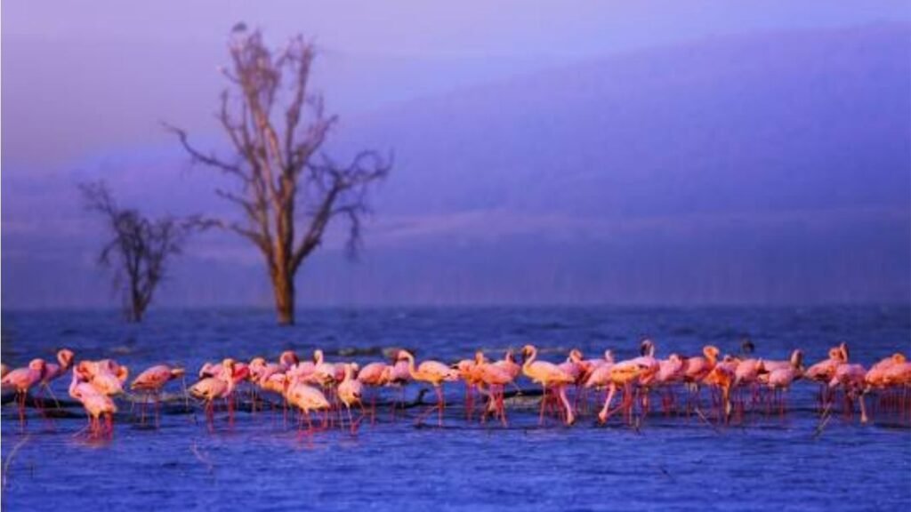 10 Cities to Visit in Kenya (2025)