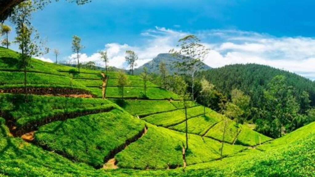 10 Cities to Visit in Sri Lanka (2025)