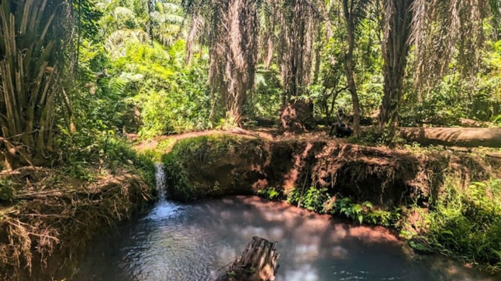 10 Cities to Visit in Tanzania (2025)
